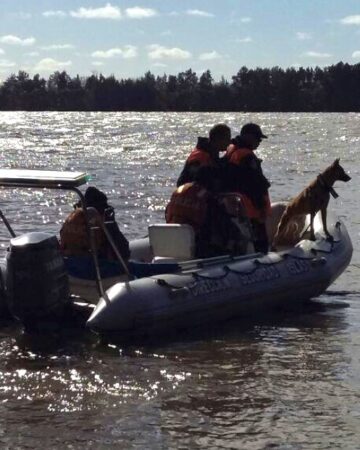 Perros de búsqueda de restos humanos: